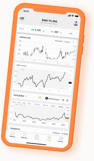 mobile device displaying the Peak Vestholt digital web application